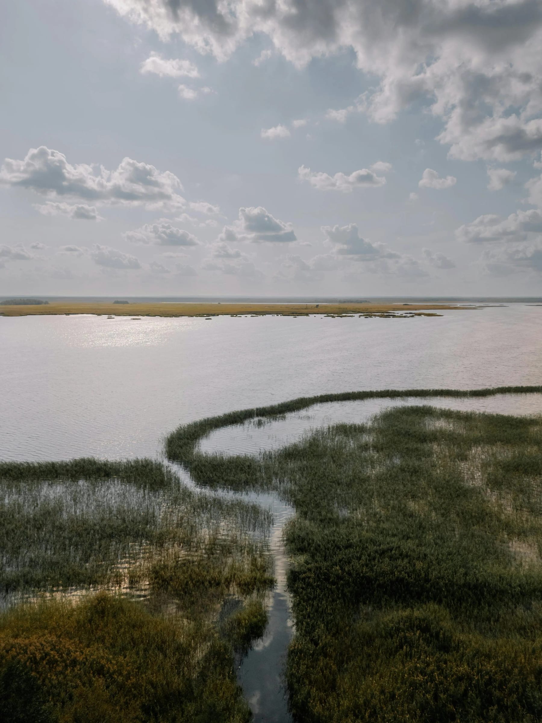 Aerial view of a green marsh, a winding channel running out to open water